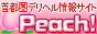 ���Է��ǥ�إ���󥵥���Peach!
